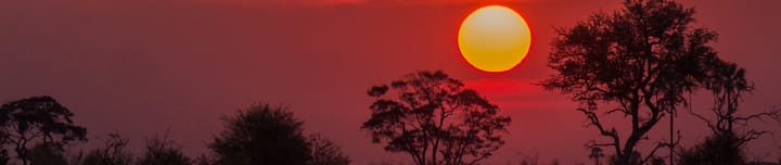 Header cover image
