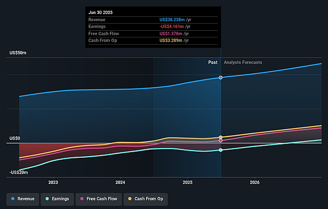AudioEye Earnings and Revenue Growth