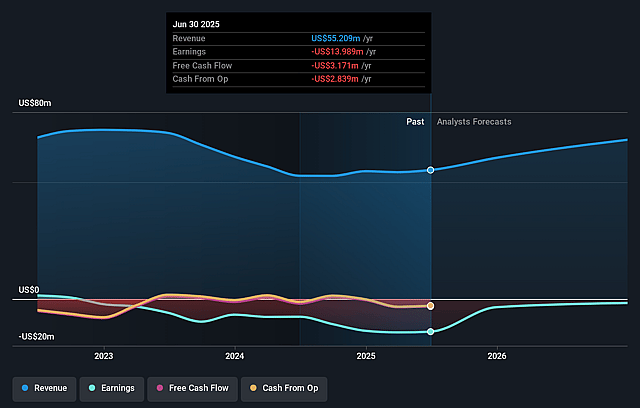 One Stop Systems Earnings and Revenue Growth
