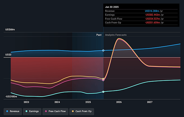 Seer Earnings and Revenue Growth