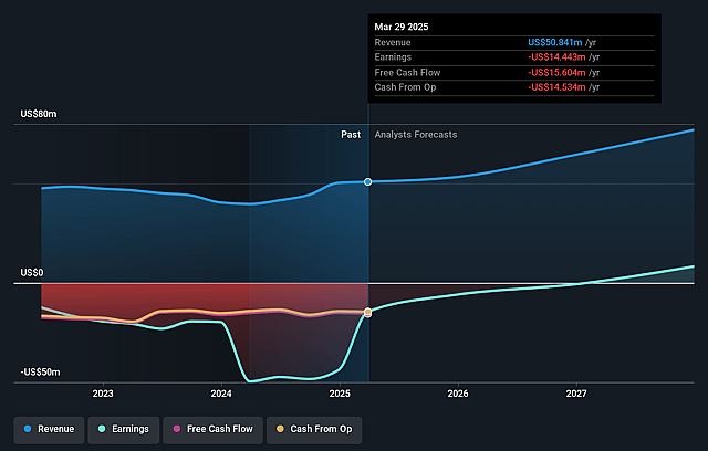 Kopin Earnings and Revenue Growth