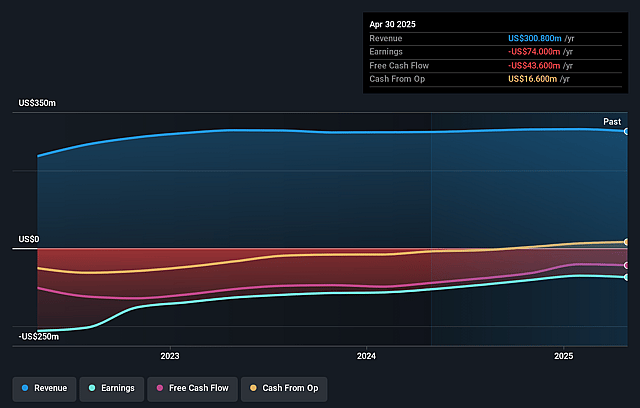 Rent the Runway Earnings and Revenue Growth