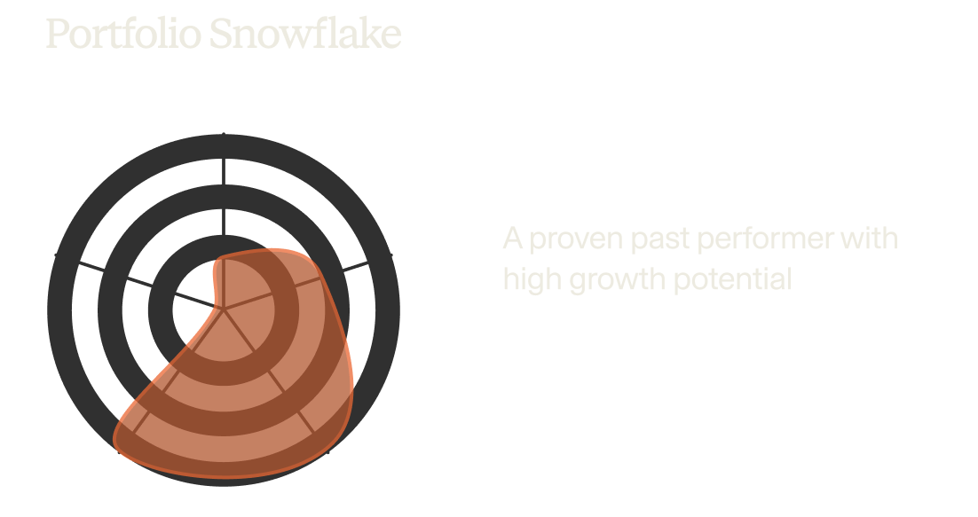 Portfolio Snowflake visual analysis